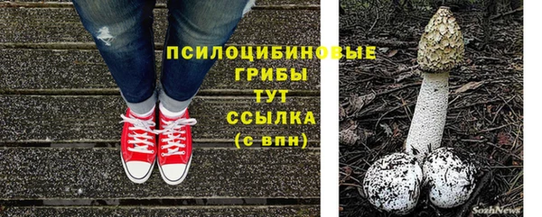 эйфоретик Бронницы