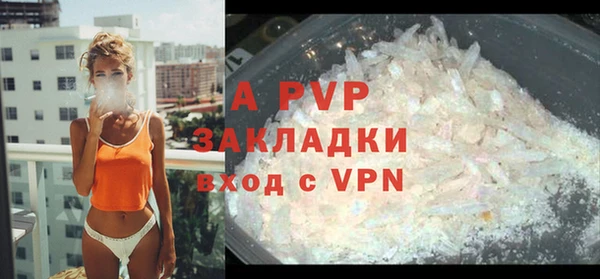 MESCALINE Бородино