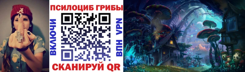 OMG ссылка цены наркотик Омск Галлюциногенные грибы мухоморы