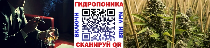 Бошки Шишки сатива  MEGA сайт  Омск 